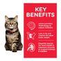 Hill's Science Plan Mature Adult Hairball & Indoor Dry Cat Food Chicken Flavour 1.5kg
