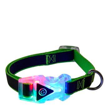 Rainbow collar dog sale