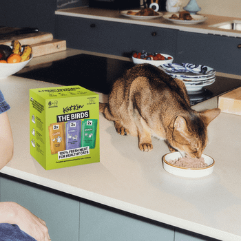 KatKin THE BIRDS Fresh Cat and Kitten Food, Variety Pack (Chicken, Turkey & Duck) 6x80g