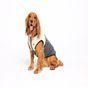 Rufus & Rosie Beige & Grey Explorer Dog Gilet, M+