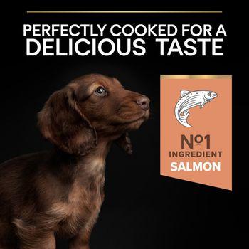 PRO PLAN Small & Mini Sensitive Skin Salmon Dry Dog Food 3kg