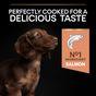 PRO PLAN Small & Mini Sensitive Skin Salmon Dry Dog Food 3kg