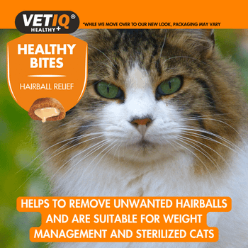 VetIQ Healthy Bites Hairball Remedy Treats For Cats and Kittens 65g