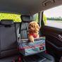 KONG Ultimate Dog Booster Seat & Tether