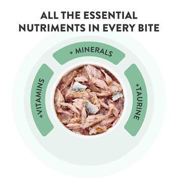 Schesir Complete and Balanced Wet Cat Food Salmon Fillet in Jelly 85g