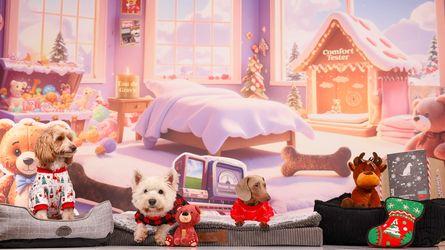 Three dogs in festive outfits sit on beds in a cozy, Christmas-themed room with a gingerbread house backdrop and stuffed toys.