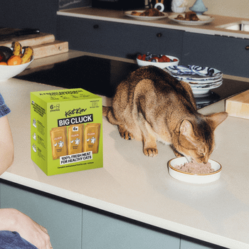 KatKin BIG CLUCK Fresh Cat and Kitten Food, Multipack (Chicken) 6x80g