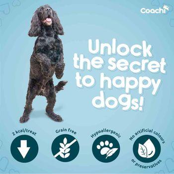 Coachi Natural Calming Dog Treats Turkey 100g