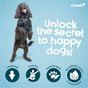 Coachi Natural Calming Dog Treats Turkey 100g
