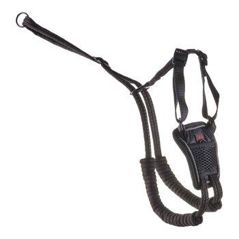 Company of animals no pull harness hotsell
