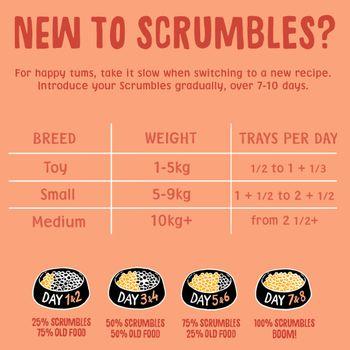 Scrumbles Grain Free Wet Dog Food Duck 150g
