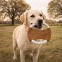 Banbury & Co Rural Retreats Suede and Rope Frisbee Dog Toy