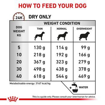 Royal Canin Gastrointestinal High Fibre Adult Dry Dog Food 14kg