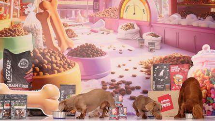 Three dogs eating from bowls on a reflective floor, surrounded by pet food packages with a colorful illustration of a pet store in the background.