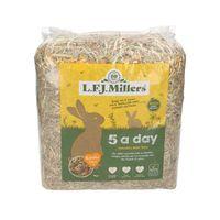 Natures Own 5 A Day Hay, 1Kg