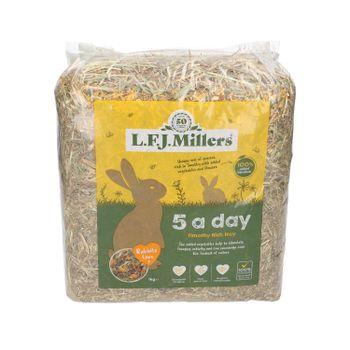 Natures Own 5 A Day Hay, 1Kg