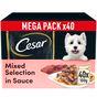 Cesar Selection Wet Dog Food Mixed Selection in Sauce Pouches, 40x100g 