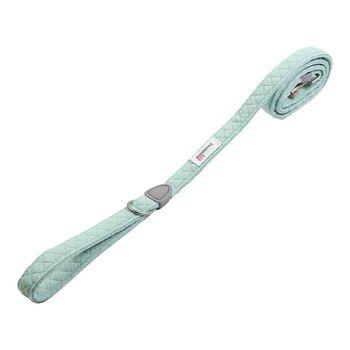 Doodlebone Dinky Dog Lead Mint 15mm