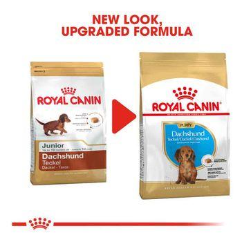 Royal Canin Dry Dog Food Dachshund Junior 1.5kg Jollyes