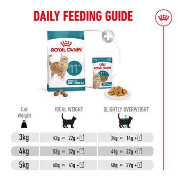Royal Canin FHN Ageing Dry Cat Food 11+ 400g