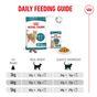 Royal Canin FHN Ageing Dry Cat Food 11+ 400g