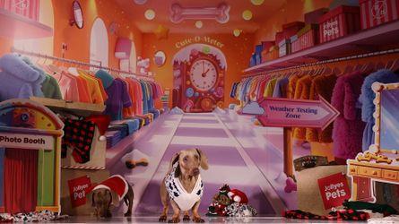 Two sausage dogs wearing Christmas Jumpers in a festive wardrobe wonderland.