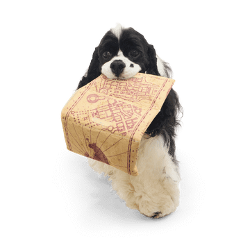 Bark Marauder’s Map Harry Potter Dog Toy