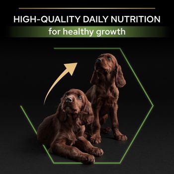 PRO PLAN Large Athletic Puppy Healthy Start Chicken Dry Dog Food 12kg
