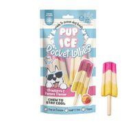 Pup Ice Rocket Lolly Strawberry and Banana Dog Treat 2 Pack 90g