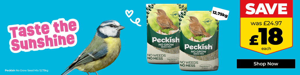Bird & Wildlife