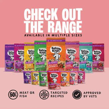 Barking Heads Pooched Salmon Wet Dog Food 300g