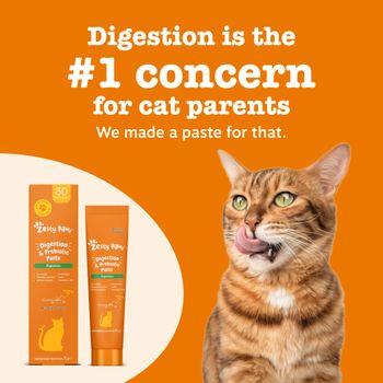 Zesty Paws Digestion & Prebiotics Paste for Cats 120g