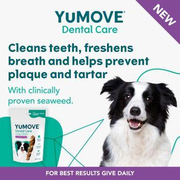 YuMOVE Daily Clean Dental Sticks for Medium Dogs | 7 pack