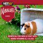 Nibblot Berry Treats for Small Animals 30g