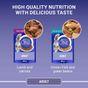 Purina ONE Cat Food Ocean Fish and Lamb Mini Fillets in Gravy 8x85g