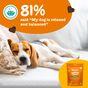 Zesty Paws Calming Treats for Dogs 210g