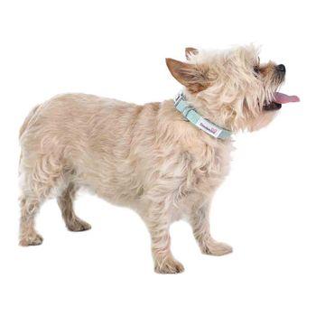 Doodlebone Dinky Dog Collar Mint 3-6
