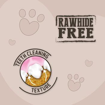 Rosewood Magic Dental Twist Dog Treat Medium 4 Pack 120g