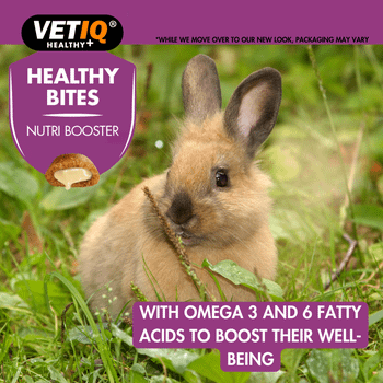 Vet IQ Healthy Bites Nutri Care for Small Animals 30g