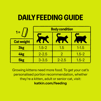 KatKin BIG CLUCK Fresh Cat and Kitten Food, Multipack (Chicken) 6x80g