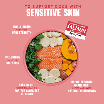 Barking Heads Pooched Salmon Wet Dog Food 300g