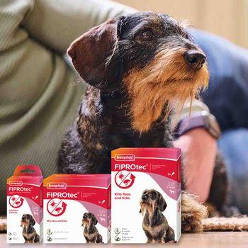 Beaphar FIPROtec Spot-On Flea & Tick Treatment for Small Dogs 2-10kg, 4 Pipettes