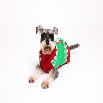 Rufus & Rosie Patterened Christmas Dog Sweater, S