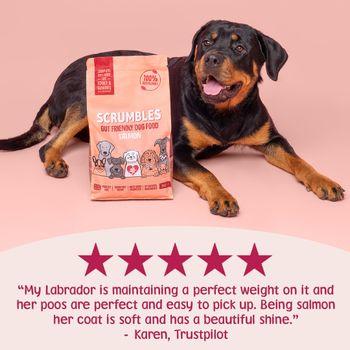 Scrumbles Dry Dog Food for Adult & Seniors Salmon 2kg