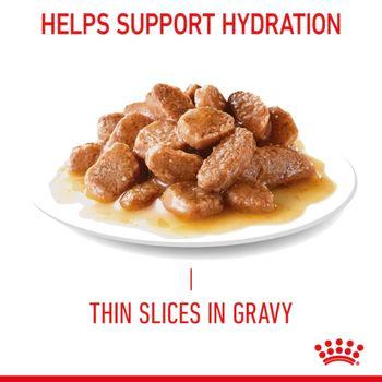 Royal Canin Urinary Care Wet Cat Food in Gravy 48x85g