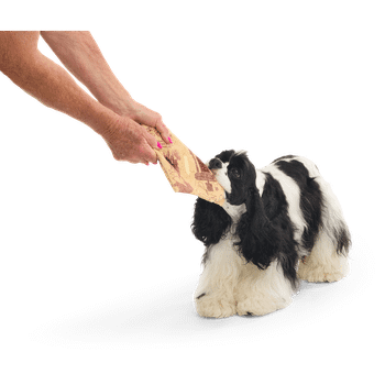 Bark Marauder’s Map Harry Potter Dog Toy