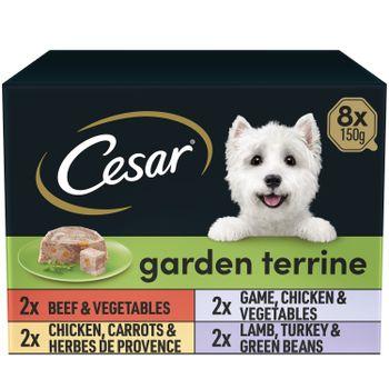 Cesar Garden Terrine Dog Food Tray Mixed in Loaf 8x150g