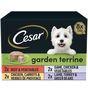 Cesar Garden Terrine Dog Food Tray Mixed in Loaf 8x150g