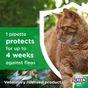 Flea Screen Combo Spot-On Flea & Tick Treatment for Small Dog 2-10kg, 3 Pipettes
