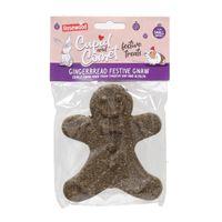 Rosewood Cupid & Comet Festive Timothy Hay Gingerbread Festive Treat & Gnaw for Small Animals